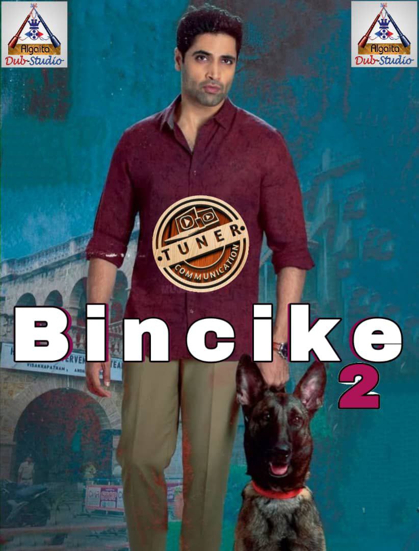 Bincike 2